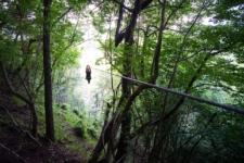 Zipline in Bled