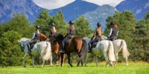 Horseback Riding - Mountain Stroll