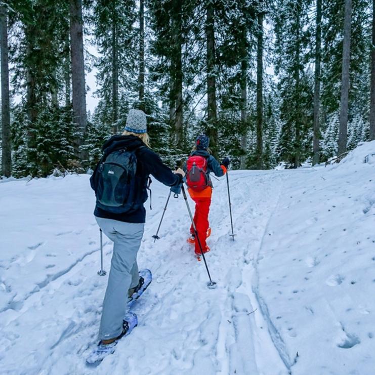 Snowshoeing