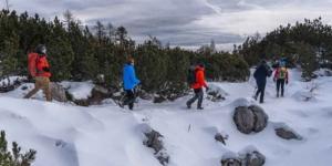 Winter hiking Slovenia, Bled