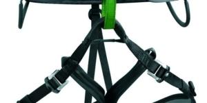 Climbing harness