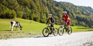 Triglav National Park biking tour