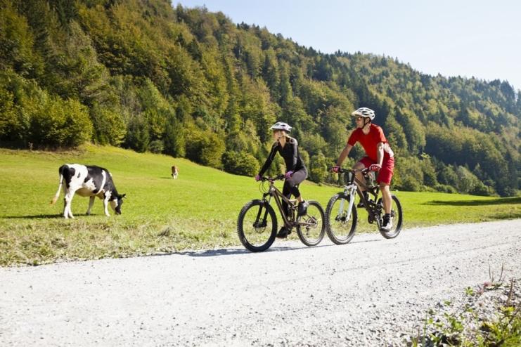 Triglav National Park biking tour