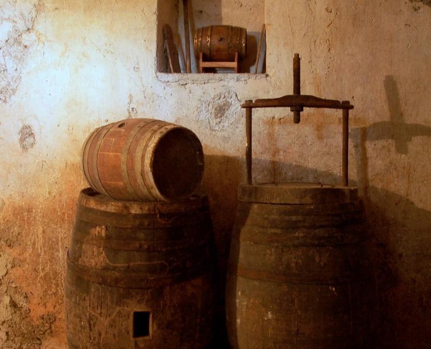 Wine cellar from Castle Bled