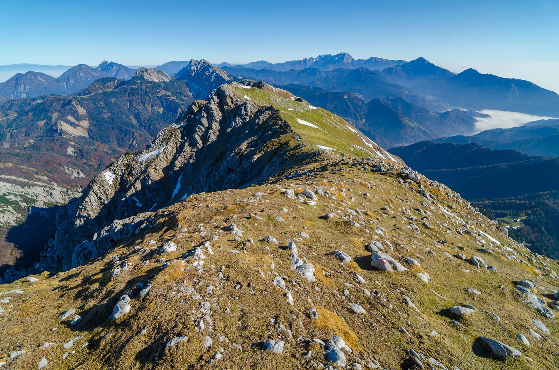 Begunjščica