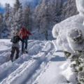 Snowshoeing in Triglav National Park