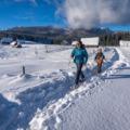 Winter Snowshoe walking on Pokljuka